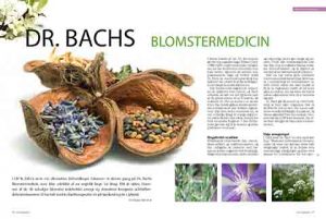 Bachs Blomstermedicin